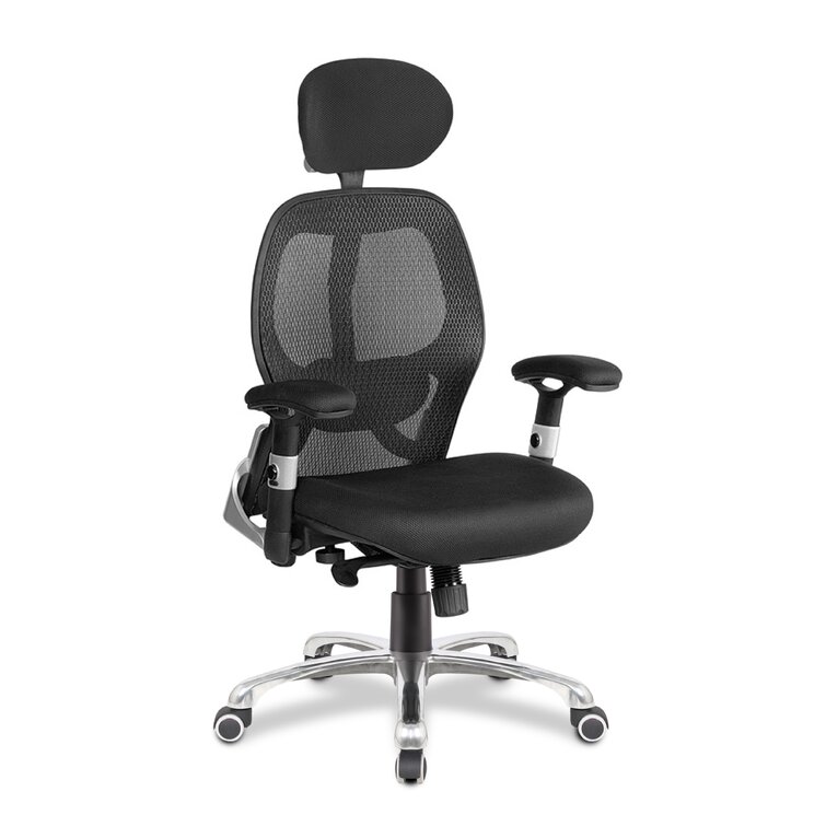 Symple stuff ergonomic store mesh desk chair